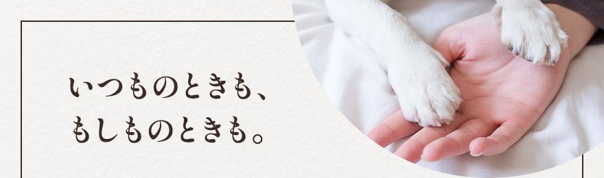 いつものときも、もしものときも。