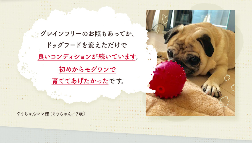 グレインフリーのお陰もあってか、ドッグフードを変えただけで、良いコンディションが続いています。