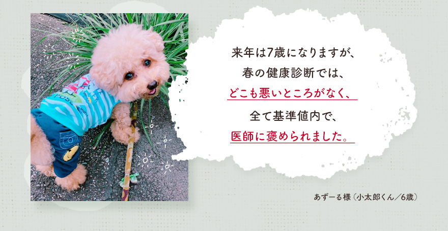 来年は7歳になりますが、今春の健康診断では、どこも悪いところがなく、全て基準値内で、医師に褒められました。