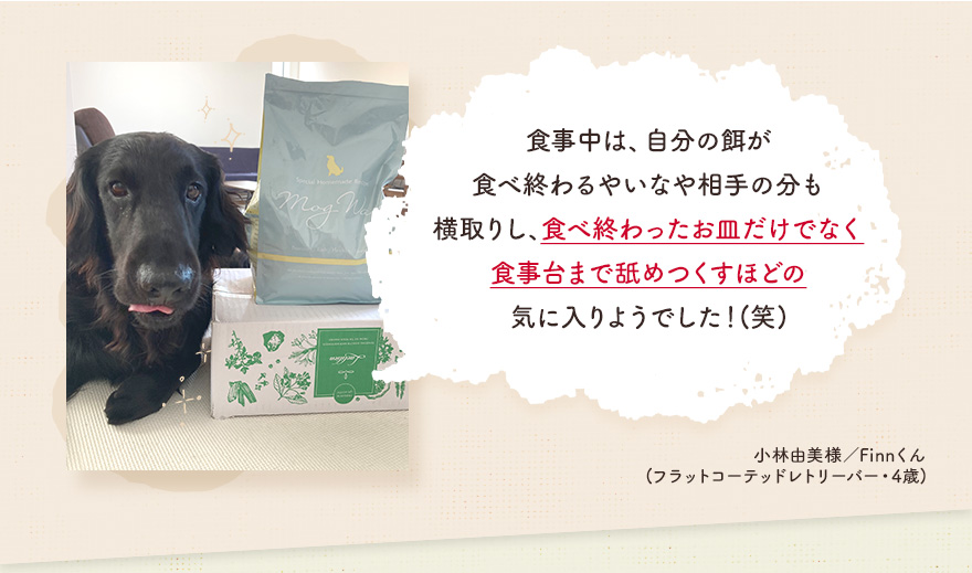 食べ終わったお皿だけでなく食事台まで舐めつくすほどの気に利用でした！