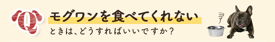 モグワンを食べてくれないときは、どうすればいいですか？