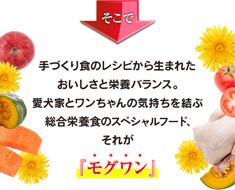 モグワン