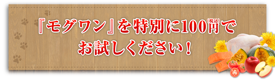 モグワンを特別に100円（税込）でお試しください
