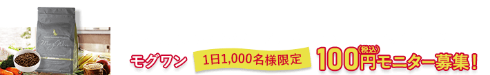 今からモニター募集開始!