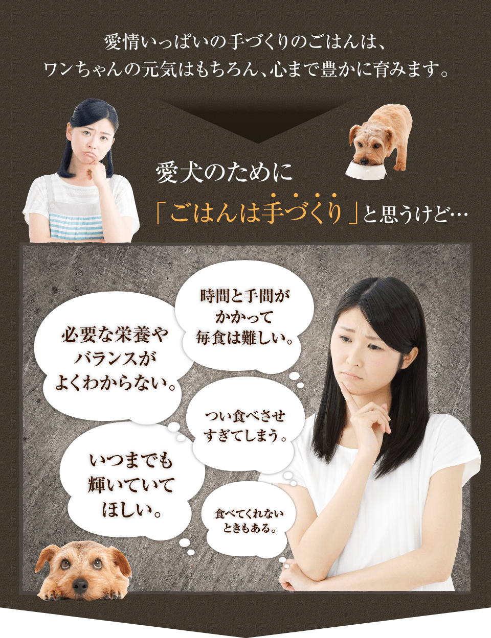 愛情いっぱいの手づくりのごはんは、ワンちゃんの元気はもちろん、心まで豊かに育みます。
