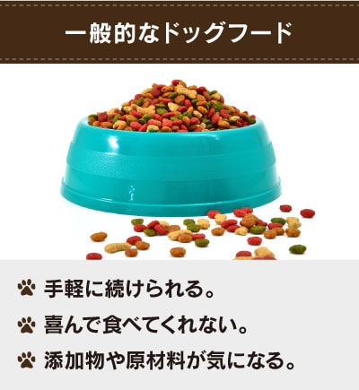 一般的なドッグフード