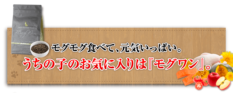 うちの子のお気に入りはモグワン