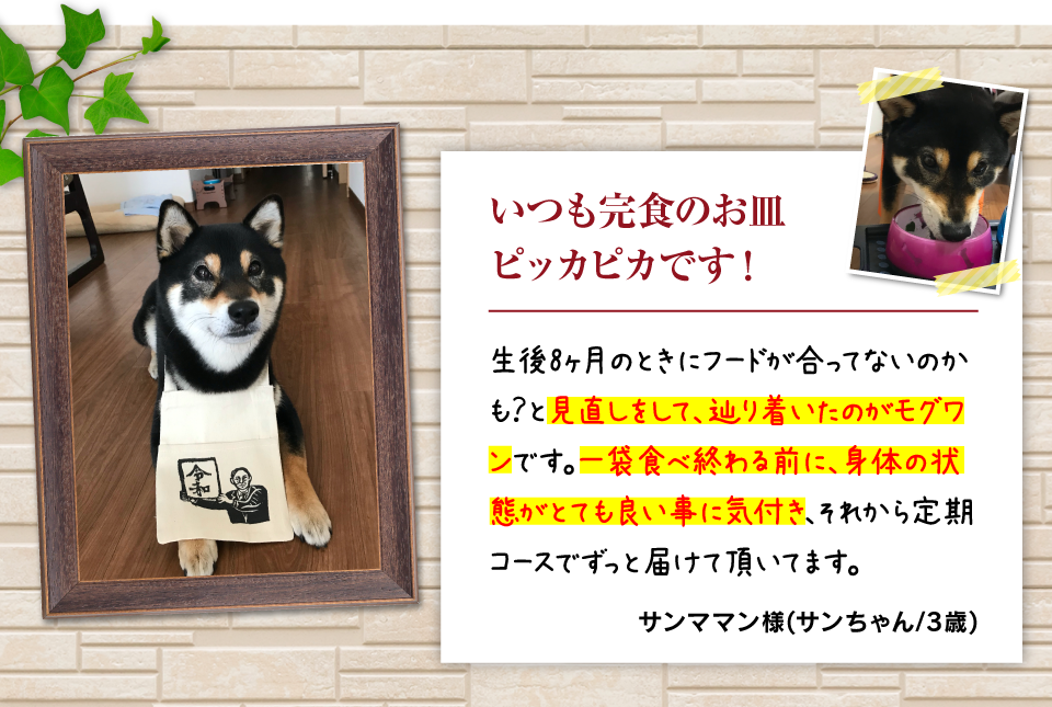 モグワンにめぐりあえたことに感謝です
