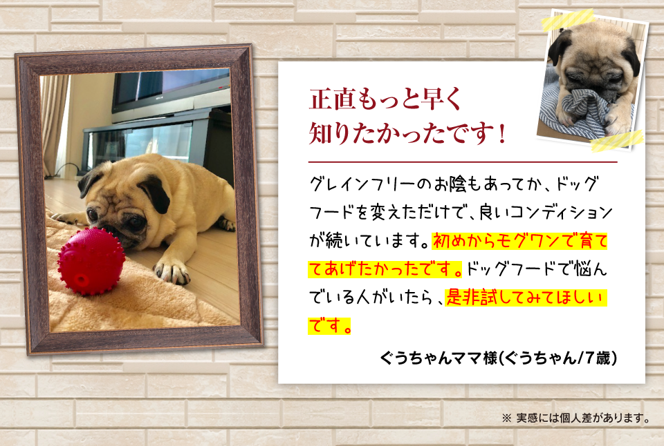 もう他のフードには見向きもしませんね