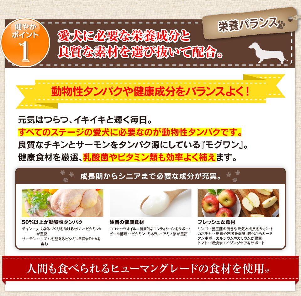 健やかポイント1