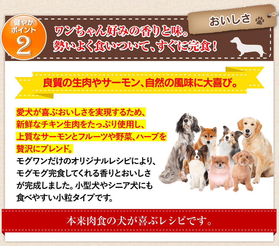 健やかポイント2