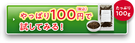 やっぱり最安値でモグワンを検討する