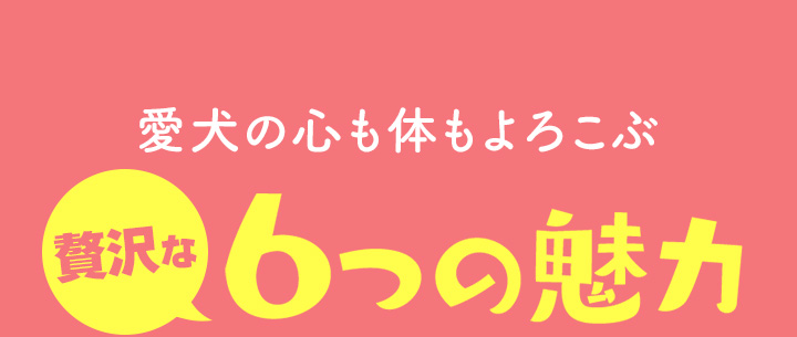 愛犬の健康を徹底的に考えた6つの魅力