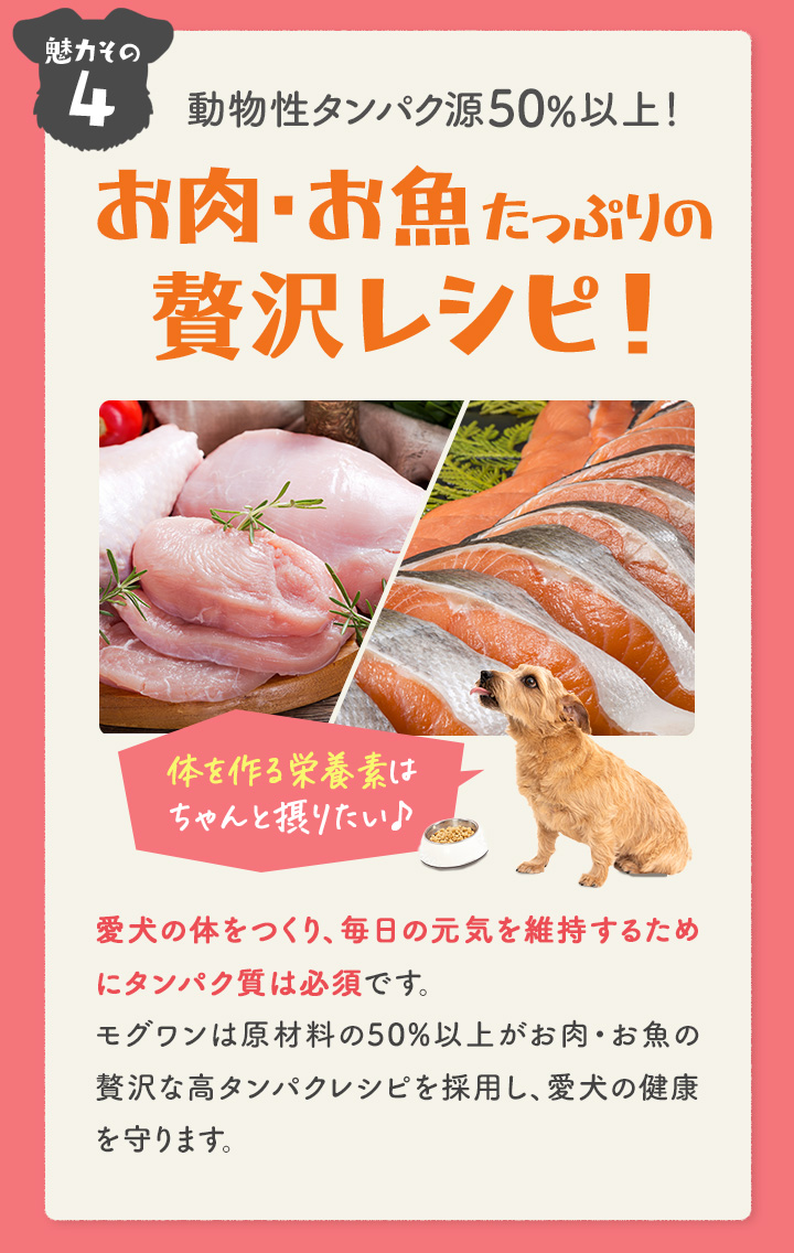 高タンパクで栄養満点