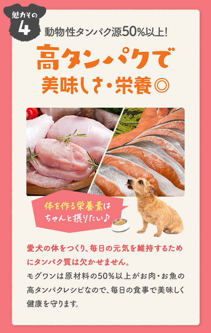 高タンパクで栄養満点