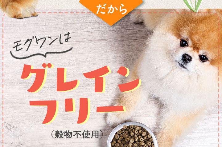 だからモグワンはグレインフリー（穀物不使用）