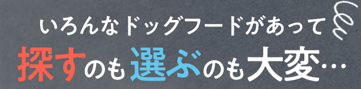いろんなドッグフードがあって探すのも選ぶのも大変・・・