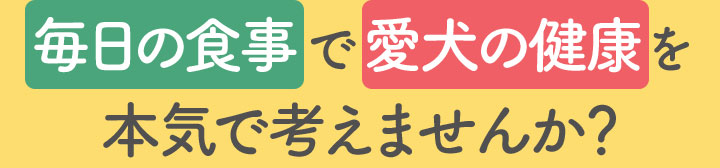 毎日の食事で愛犬の健康を本気で考えませんか？