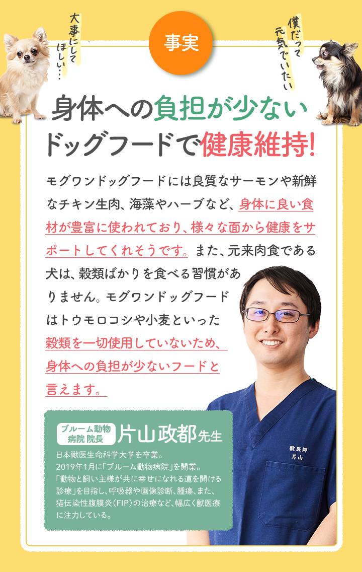 身体への負担が少ないドッグフードで健康維持！