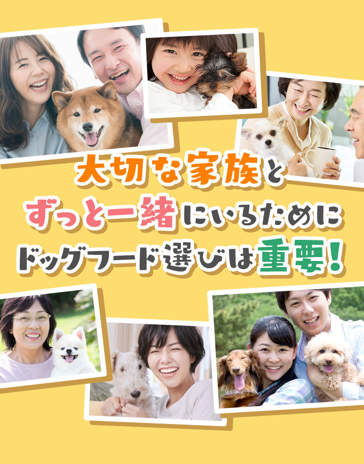 大切な家族とずっと一緒にいるためにドッグフード選びは重要！