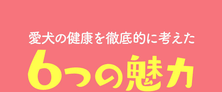 愛犬の健康を徹底的に考えた6つの魅力