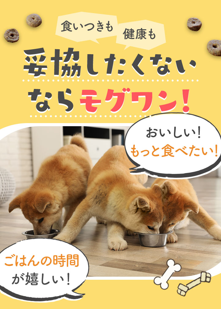 妥協したくないならモグワン！