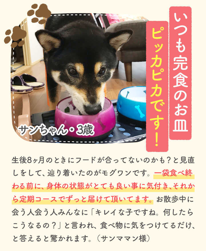 いつも完食のお皿ピッカピカです！