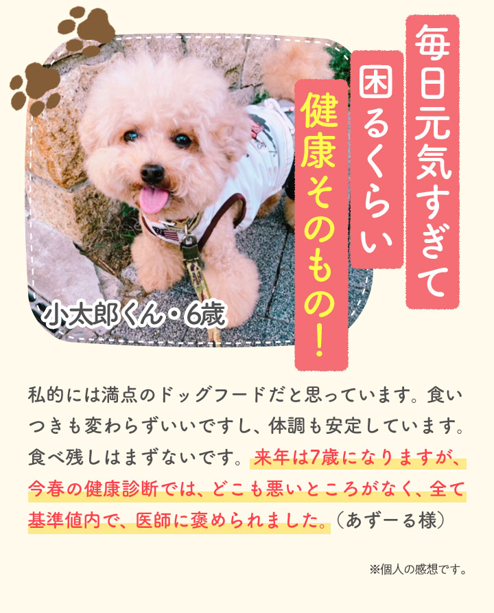 毎日元気すぎて困るくらい健康そのもの！