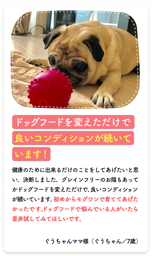 ドッグフードを変えただけで良いコンディションが続いています！