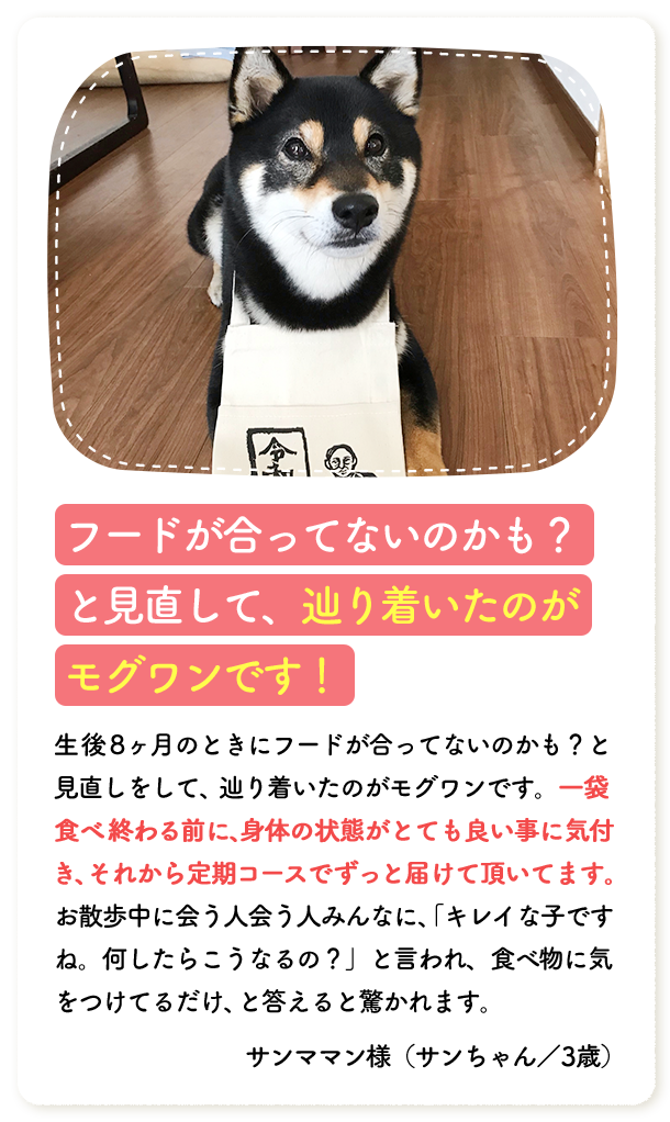 フードが合っていないのかも？と見直して、辿り着いたのがモグワンです！