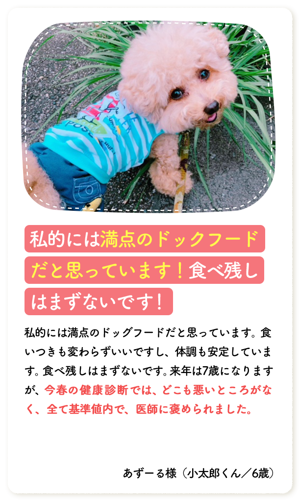 私的には満点のドッグフードだと思っています！食べ残しはまずないです！