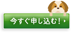 今すぐ申し込む
