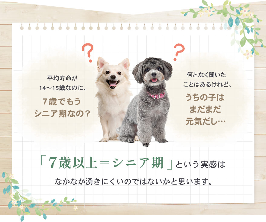 愛犬がまだまだ元気でも、7歳以上＝シニア期という実感は、なかなかわきにくいかと思います。