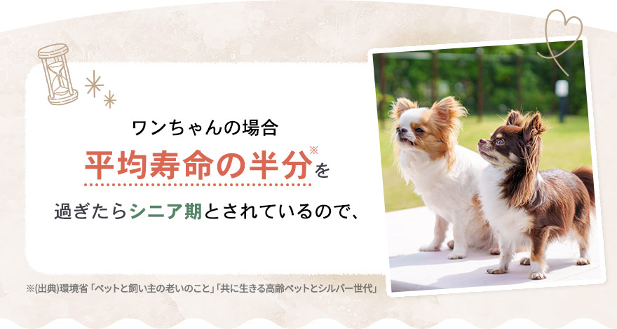 ワンちゃんの場合、平均寿命の半分を過ぎたらシニア期とされるので