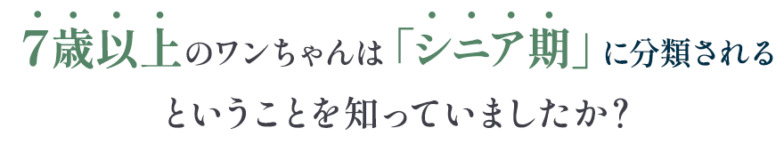 ７歳以上のワンちゃんはシニア期に分類されるということを知っていましたか？