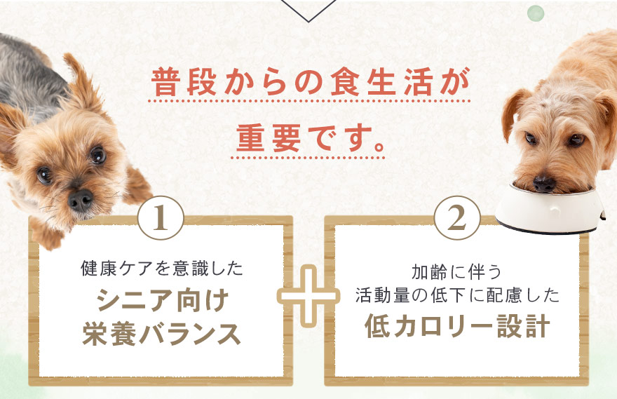 普段からの食生活が重要です。