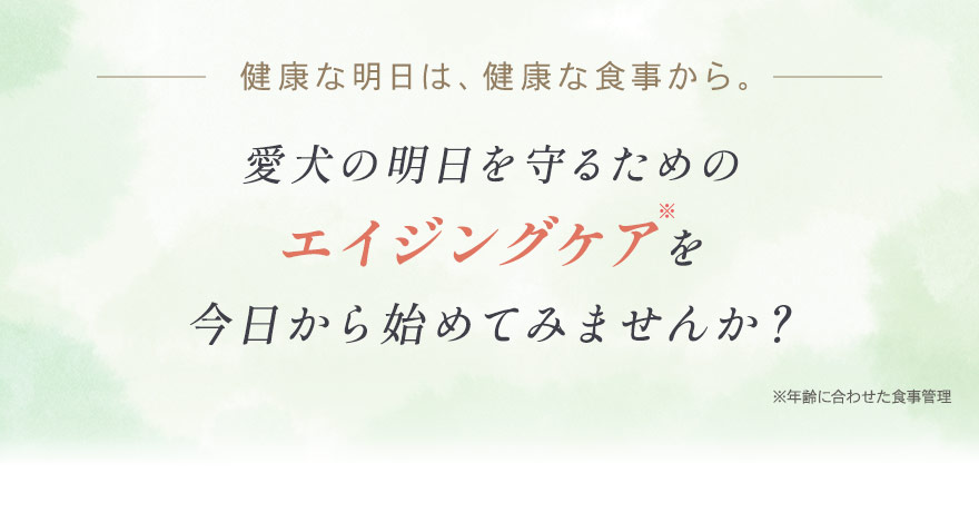 愛犬の明日を守るためのエイジングケアを今日から始めてみませんか？