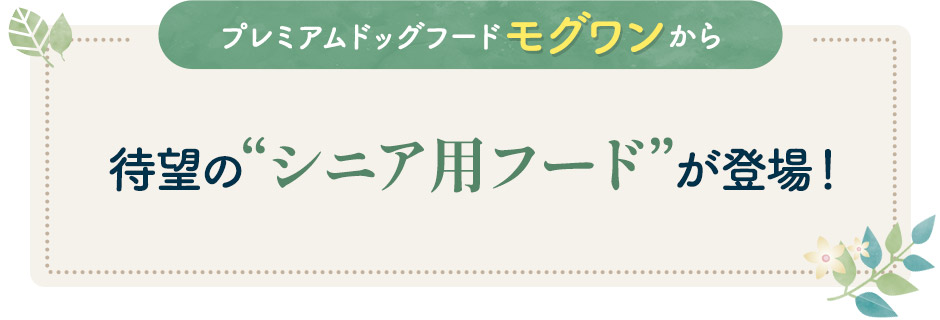 プレミアムドッグフードモグワンから、待望のシニア用フードが登場！