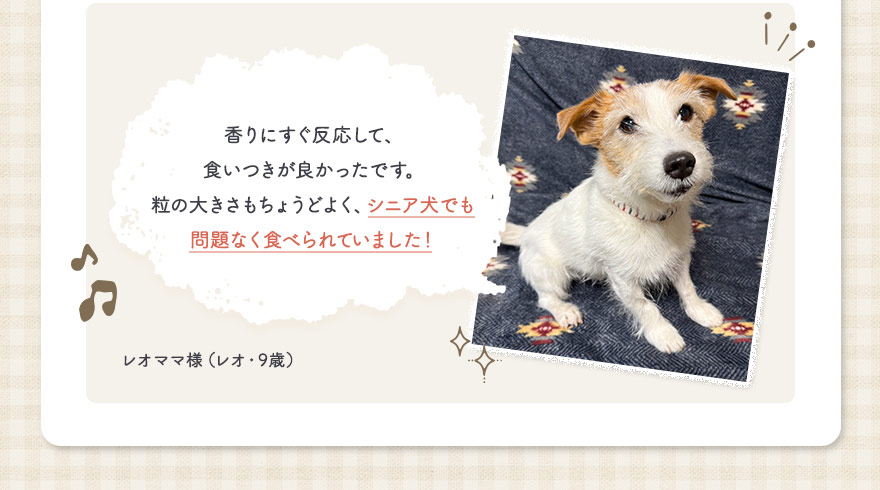 シニア犬でも問題なく食べられていました！