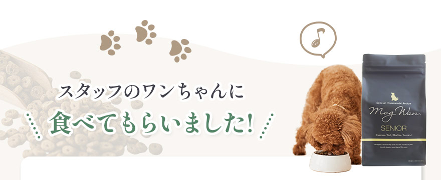 スタッフのワンちゃんに食べてもらいました。