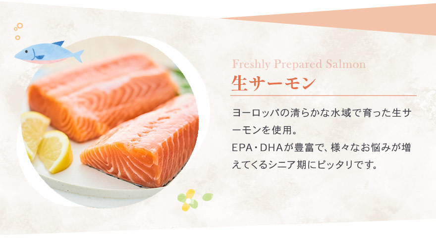 ヨーロッパの清らかな水域で育った生サーモン