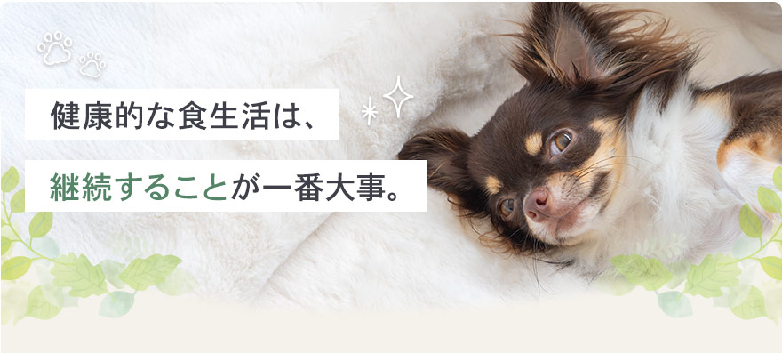 健康的な食生活は継続することが一番大事。