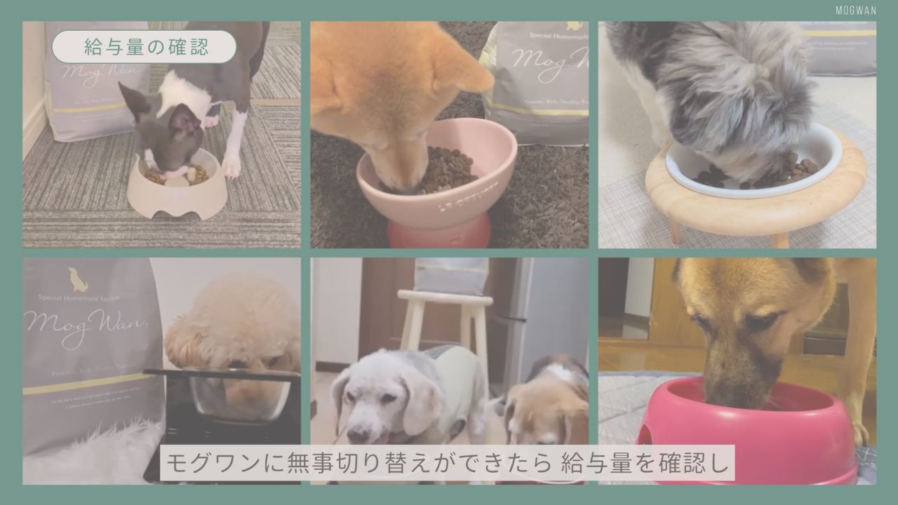 お申込み完了 | レティシアン